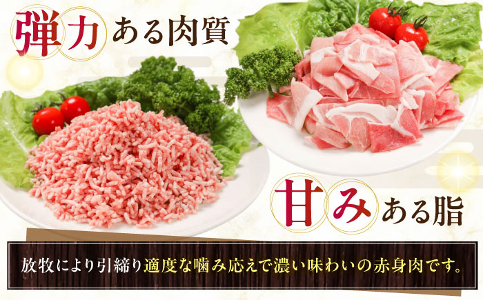 放牧豚 切落し・挽き肉 セット 計2kg（250g×8） 《厚真町》【ファーマーズファクトリー株式会社】 [AXBA160]