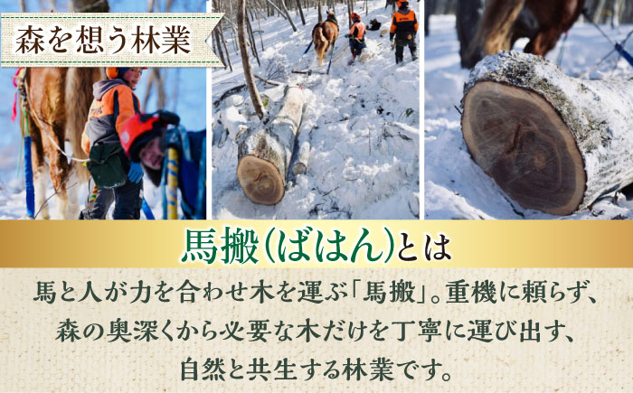 【全2回定期便】北海道 ナラ薪 100kg（20kg×5箱）《厚真町》【西埜馬搬】 薪 まき 薪ストーブ ストーブ キャンプ 北海道 定期便 [AXBE006]