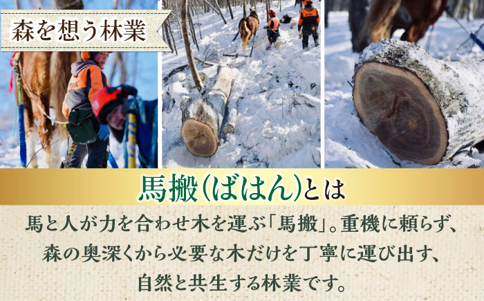 【月2回・全6回定期便】北海道 ナラ薪 20kg《厚真町》【西埜馬搬】 薪 まき 薪ストーブ ストーブ キャンプ 北海道 定期便 [AXBE011]