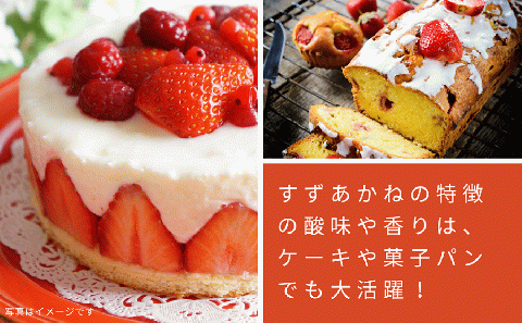 【先行予約 2026年7月以降順次発送】夏秋イチゴ「すずあかね」計600g 《厚真町》【こばやしいちご農園】 [AXBT003]