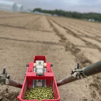 《農薬不使用》乾燥小粒青大豆（品種：黒神）《厚真町》【ekam】 大豆 豆 オーガニック 農薬不使用  有機JAS認証 青大豆 乾燥大豆 北海道 [AXBV001] 9000 9000円