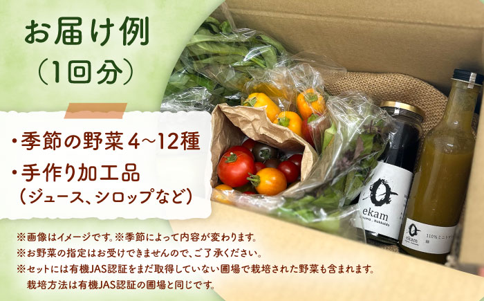 【年4回コース定期便】 「季節の有機野菜セット」2～3人分 《厚真町》 【ekam】 [AXBV009]