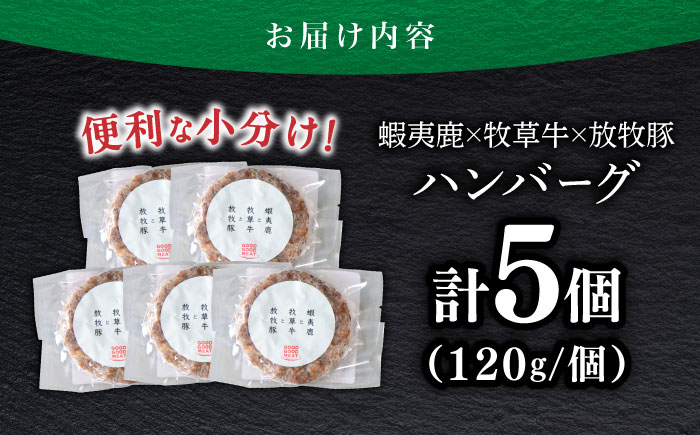 【蝦夷鹿×牧草牛×放牧豚】ハンバーグ 5個 《厚真町》【GOODGOOD株式会社】冷凍 鹿肉 ジビエ 牛肉 豚肉 小分け 北海道 [AXBP003]