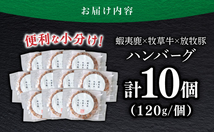 【蝦夷鹿×牧草牛×放牧豚】ハンバーグ 10個《厚真町》【GOODGOOD株式会社】 冷凍 鹿肉 ジビエ 牛肉 豚肉 小分け 北海道 [AXBP004]