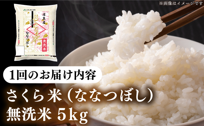 【全12回定期便】【無洗米】【新米 令和7年産】さくら米（ななつぼし）5kg《厚真町》【とまこまい広域農業協同組合】 米 定期便 1年 12ヵ月 お米 無洗米 白米 ななつぼし 北海道 R7 [AXAB010]