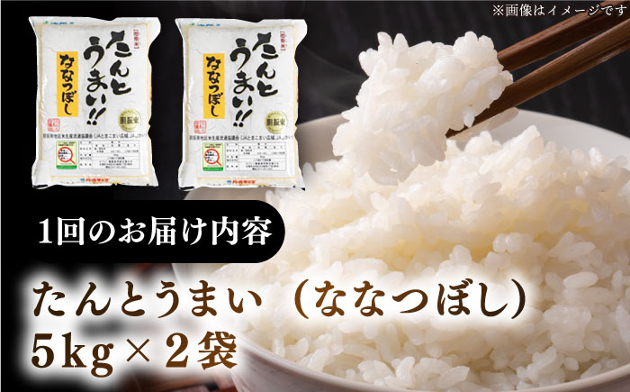 【全12回定期便】【新米 令和7年産】ななつぼし [たんとう米] 10kg《厚真町》【とまこまい広域農業協同組合】  米 定期便 1年 12ヵ月 お米 白米 ご飯 ななつぼし 北海道 [AXAB022]