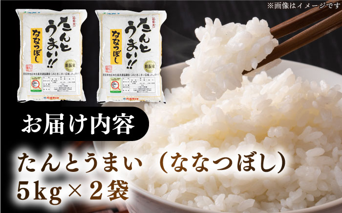 【新米 令和7年産】【特A】たんとう米（ななつぼし）10kg《厚真町》【とまこまい広域農業協同組合】 米 お米 白米 ご飯 ななつぼし 特A 北海道 [AXAB026-01]