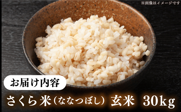 【玄米】【新米 令和7年産】ななつぼし  一等米 さくら米 30kg《厚真町》【とまこまい広域農業協同組合】 コメ ご飯 北海道 R7 [AXAB036]