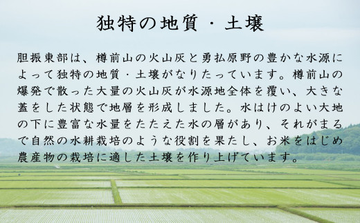 《令和5年度産 》北海道JAとまこまい広域自慢のお米900g×3点セット！(さくら米･ゆめぴりか･たんとうまい) 《厚真町》【とまこまい広域農業協同組合】 [AXAB059]