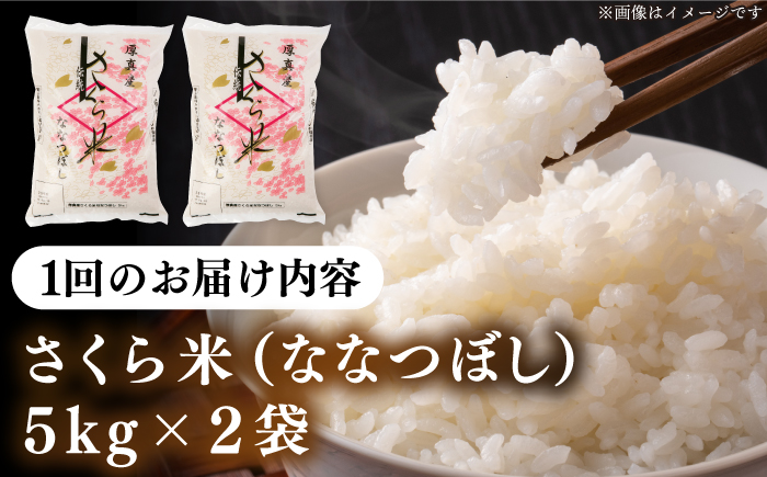 【全2回定期便】【新米 令和7年産】【特A】一等米 さくら米（ななつぼし）10kg《厚真町》【とまこまい広域農業協同組合】 2カ月 連続 毎月 お米 白米 ななつぼしブランド米 特A 一等米 北海道 R7 [AXAB067]