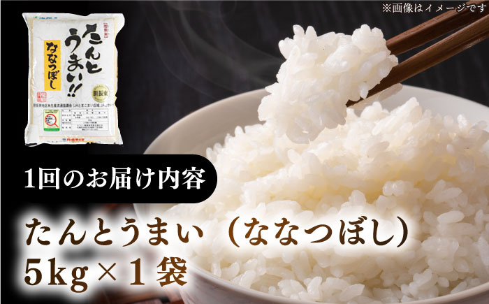 【全6回定期便】【新米 令和7年産】ななつぼし [たんとう米] 5kg《厚真町》【とまこまい広域農業協同組合】  米 定期便 6ヵ月 半年 毎月 定期便 6ヵ月 半年 毎月 お米 白米 ご飯 ななつぼし 北海道 [AXAB077]
