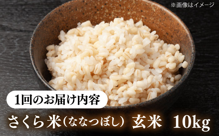 【全2回定期便】【玄米】さくら米 10kg《厚真町》【とまこまい広域農業協同組合】 米 お米 玄米 ご飯 ななつぼし 一等米 特A 北海道 [AXAB079]