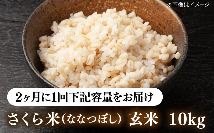 【隔月全2回定期便】【玄米】さくら米 10kg《厚真町》【とまこまい広域農業協同組合】 米 お米 玄米 ご飯 ななつぼし 一等米 特A 北海道 [AXAB081]