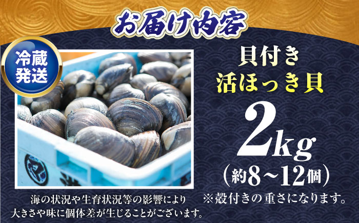 厚真町近海で獲れた 活ほっき貝 2kg（約8～12個）《厚真町》【鵡川漁業協同組合】ホッキ貝 北寄貝 海鮮 冷蔵配送 北海道 [AXAL005]