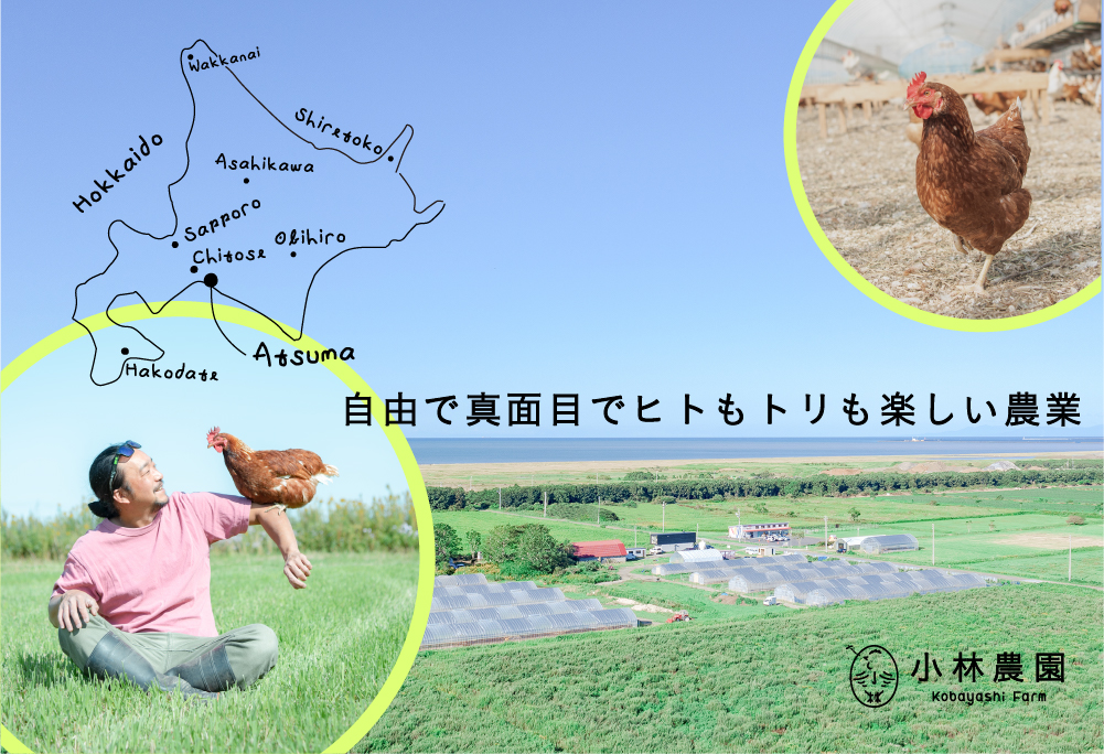 平飼い有精卵 100個【冷蔵便】【テンアール株式会社】 たまご 卵 鶏卵 玉子 生卵 平飼い 北海道 定期便  [AXAN035]