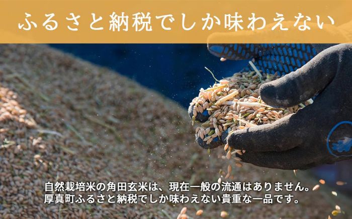【全2回定期便】【玄米】 自然栽培米 角田玄米（ななつぼし）5kg《厚真町》【カクタファーム】[AXAR007] 米 お米 玄米 ななつぼし ご飯 北海道 定期便
