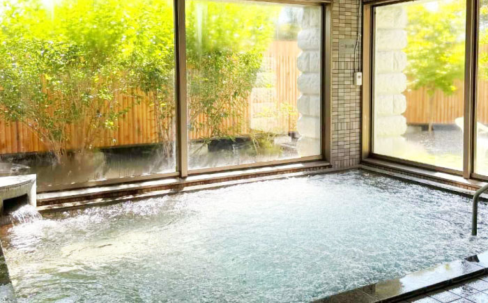 こぶしの湯あつま 日帰り入浴券 6枚セット《厚真町》【(株)あつまスタンプ会】 [AXAX001] 温泉 スパ  チケット サウナ