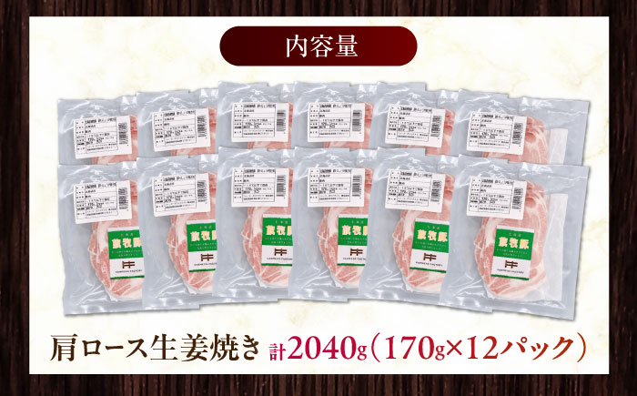 放牧豚 放牧豚 肩ロース生姜焼き 計2040g（170g×12）《厚真町》　【ファーマーズファクトリー株式会社】 [AXBA126]