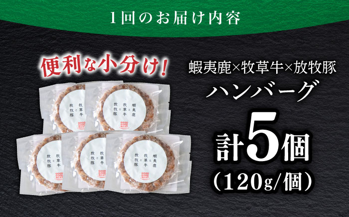 【全6回定期便】【蝦夷鹿×牧草牛×放牧豚】ハンバーグ 5個 《厚真町》【GOODGOOD株式会社】 ハンバーグ 鹿肉 牛肉 豚肉 小分け 冷凍配送 北海道 [AXBP020]