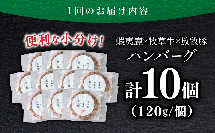 【全2回定期便】【蝦夷鹿×牧草牛×放牧豚】ハンバーグ 10個《厚真町》【GOODGOOD株式会社】 ハンバーグ 鹿肉 牛肉 豚肉 小分け 冷凍配送 北海道 [AXBP030]