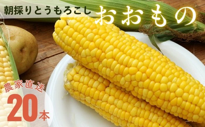【2026年8月下旬発送予定】北海道厚真産とうもろこし おおもの 先行予約  [AXAE001] 15000 15000円