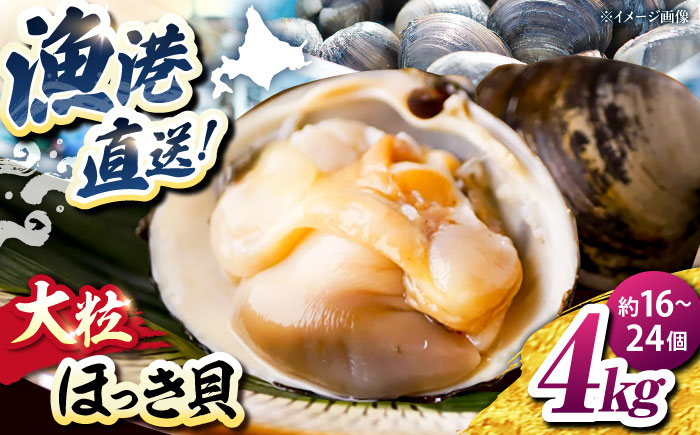 厚真町近海で獲れた 活ほっき貝 4kg（約16～24個）《厚真町