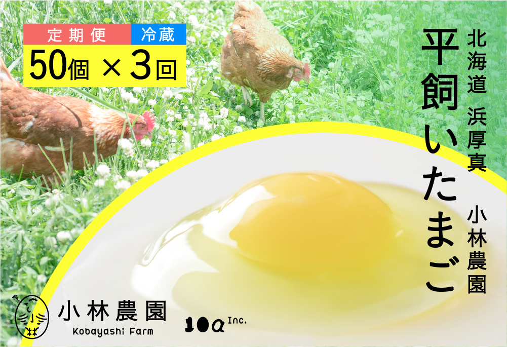 【全3回定期便】平飼い有精卵 50個【冷蔵便】【テンアール株式会社】 たまご 卵 鶏卵 玉子 生卵 平飼い 北海道 定期便  [AXAN001]