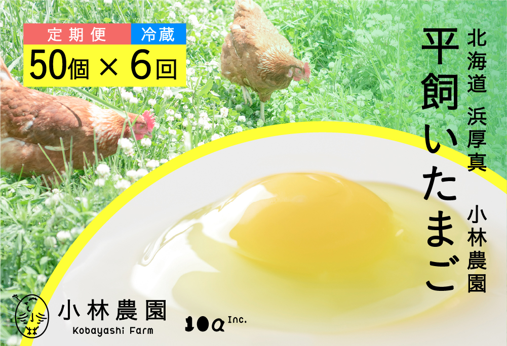 【全6回定期便】平飼い有精卵 50個【冷蔵便】【テンアール株式会社】 たまご 卵 鶏卵 玉子 生卵 平飼い 北海道 定期便  [AXAN002]