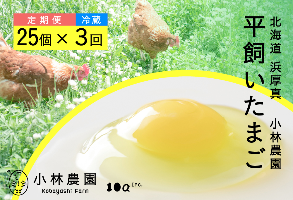 【全3回定期便】平飼い有精卵 25個【冷蔵便】【テンアール株式会社】 たまご 卵 鶏卵 玉子 生卵 平飼い 北海道 定期便  [AXAN004]