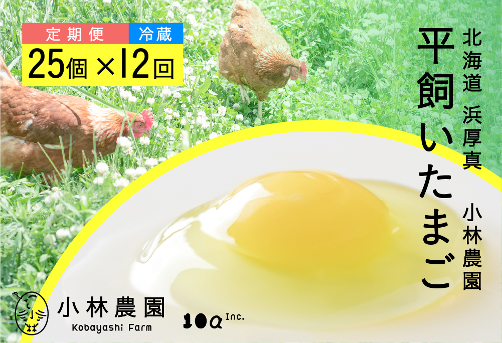 【全12回定期便】平飼い有精卵 25個【冷蔵便】【テンアール株式会社】 たまご 玉子 北海道 1年間 定期便  [AXAN006]