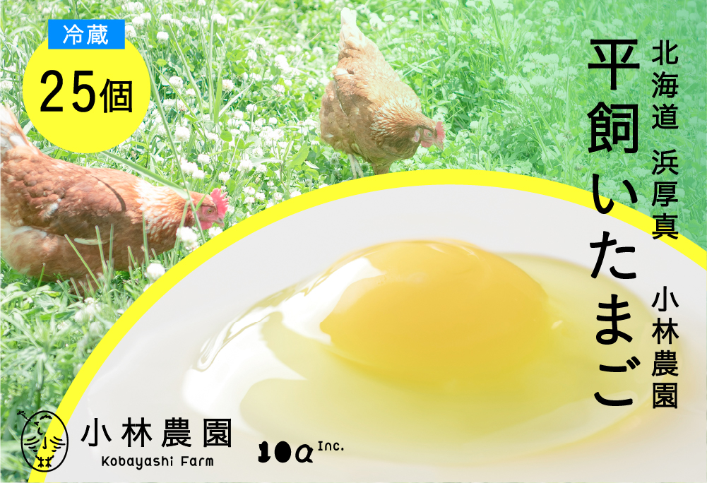 平飼い有精卵 25個【冷蔵便】たまご 玉子 北海道 [AXAN011]