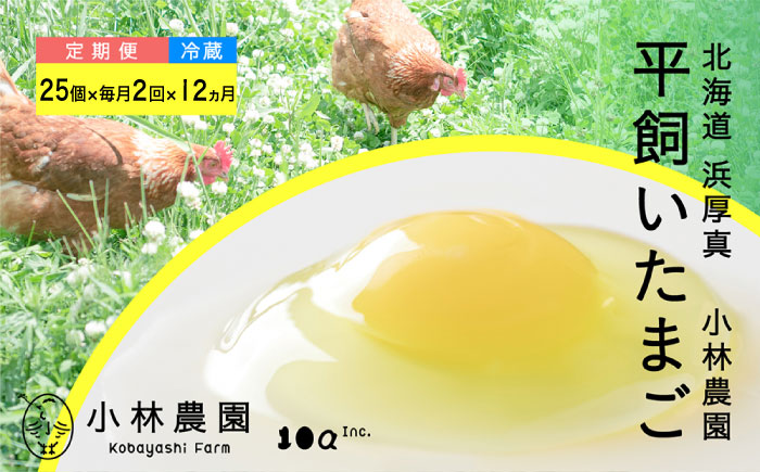 【月2回・全24回定期便】平飼い有精卵 25個  【冷蔵便】 12ヵ月 【テンアール株式会社】 たまご  玉子 平飼い 定期便 [AXAN028]