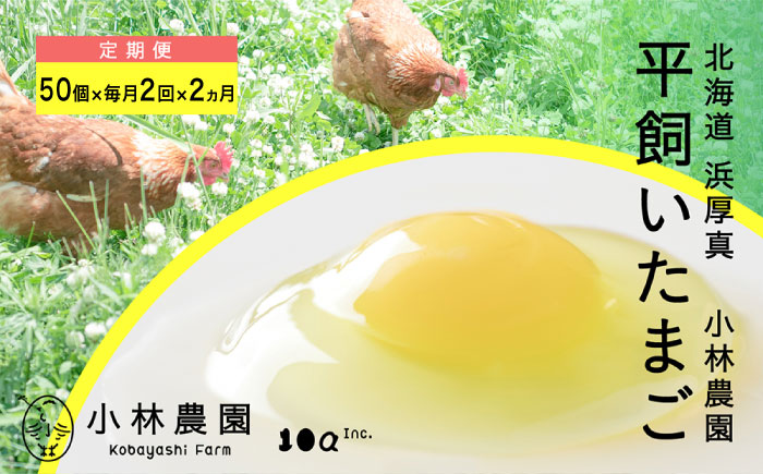 【月2回・全4回定期便】平飼い有精卵 50個【常温便】【テンアール株式会社】 たまご 卵 鶏卵 玉子 生卵 平飼い 北海道 定期便 [AXAN030]