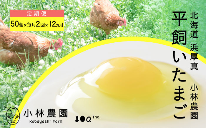 【月2回・全24回定期便】平飼い有精卵 50個【常温便】【テンアール株式会社】 たまご 卵 鶏卵 玉子 生卵 平飼い 北海道 定期便 [AXAN033]