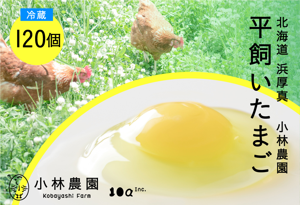 平飼い有精卵 120個【冷蔵便】【テンアール株式会社】 たまご 卵 鶏卵 玉子 生卵 平飼い 北海道 定期便 [AXAN076]