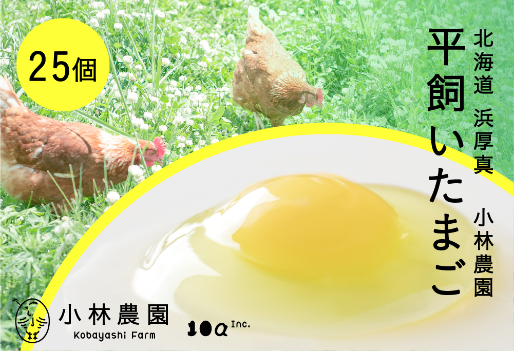 平飼い有精卵 25個【常温便】【テンアール株式会社】 たまご 卵 鶏卵 玉子 生卵 平飼い 北海道 定期便 [AXAN119]
