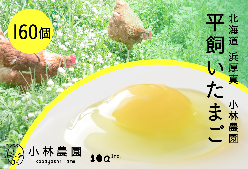 平飼い有精卵 160個【常温便】【テンアール株式会社】 たまご 卵 鶏卵 玉子 生卵 平飼い 北海道 定期便 [AXAN124]