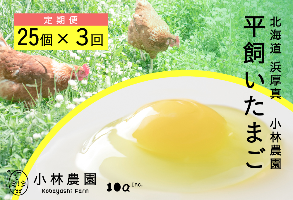 【全3回定期便】平飼い有精卵 25個【常温便】【テンアール株式会社】 たまご 卵 鶏卵 玉子 生卵 平飼い 北海道 定期便 [AXAN126]