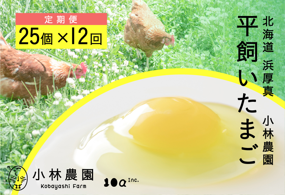 【全12回定期便】平飼い有精卵 25個【常温便】【テンアール株式会社】 たまご 玉子 平飼い 12ヵ月 [AXAN128]