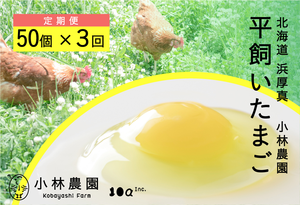 【全3回定期便】平飼い有精卵 50個【常温便】【テンアール株式会社】 たまご 卵 鶏卵 玉子 生卵 平飼い 北海道 定期便 [AXAN130]