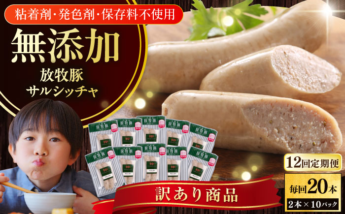 【全12回定期便】【訳あり】【結着剤・発色剤・保存料不使用】 放牧豚 サルシッチャ 2本x10セット（90g/パック） 【ファーマーズファクトリー株式会社】 訳あり ウインナー ソーセージ 冷凍配送 セット 詰め合わせ 北海道 [AXBA077]