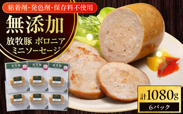 放牧豚 ボロニアミニソーセージ 計1,080g（180g×6）《厚真町》　【ファーマーズファクトリー株式会社】 [AXBA107]