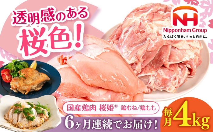 【全6回定期便】桜姫 鶏むね＆鶏ももセット 計4kg （鶏むね・鶏もも 各2kg）《厚真町》【東日本フード株式会社】 桜姫 鶏肉 鶏 とり肉 もも肉 鶏もも むね肉 鶏むね 冷凍 北海道 [AXBM046]