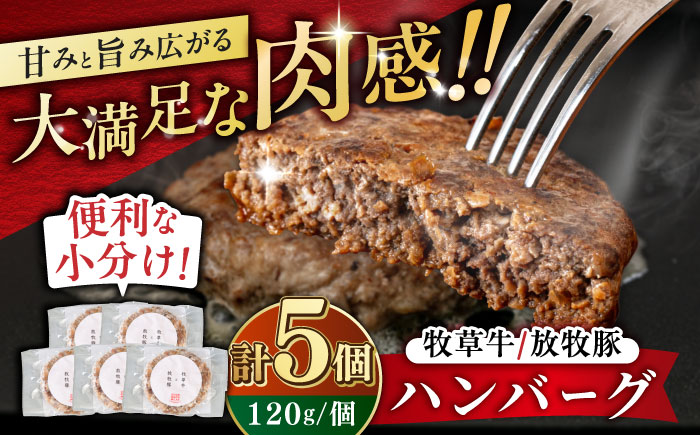 【牧草牛×放牧豚】ハンバーグ 5個 《厚真町》【GOODGOOD株式会社】冷凍 牛肉 豚肉 小分け 北海道 [AXBP006]