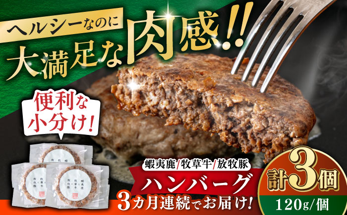 【全3回定期便】 【蝦夷鹿×牧草牛×放牧豚】ハンバーグ 3個 《厚真町》【GOODGOOD株式会社】 ハンバーグ 鹿肉 牛肉 豚肉 小分け 冷凍配送 北海道 [AXBP015]