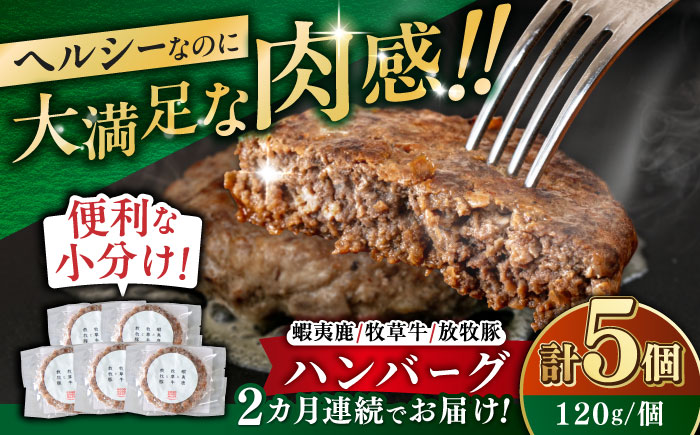 【全2回定期便】【蝦夷鹿×牧草牛×放牧豚】ハンバーグ 5個 《厚真町》【GOODGOOD株式会社】 ハンバーグ 鹿肉 牛肉 豚肉 小分け 冷凍配送 北海道 [AXBP018]