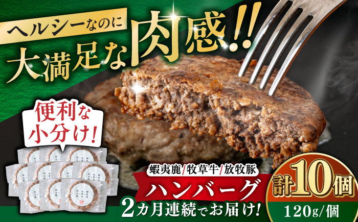 【全2回定期便】【蝦夷鹿×牧草牛×放牧豚】ハンバーグ 10個《厚真町》【GOODGOOD株式会社】 ハンバーグ 鹿肉 牛肉 豚肉 小分け 冷凍配送 北海道 [AXBP030]