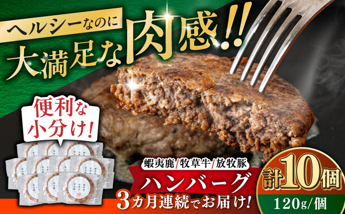 【全3回定期便】【蝦夷鹿×牧草牛×放牧豚】ハンバーグ 10個《厚真町》【GOODGOOD株式会社】 ハンバーグ 鹿肉 牛肉 豚肉 小分け 冷凍配送 北海道 [AXBP031]