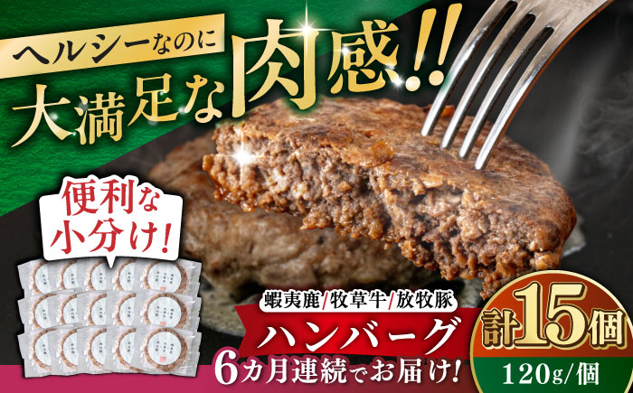 【全6回定期便】【蝦夷鹿×牧草牛×放牧豚】ハンバーグ 15個《厚真町》【GOODGOOD株式会社】 ハンバーグ 鹿肉 牛肉 豚肉 小分け 冷凍配送 北海道 [AXBP036]