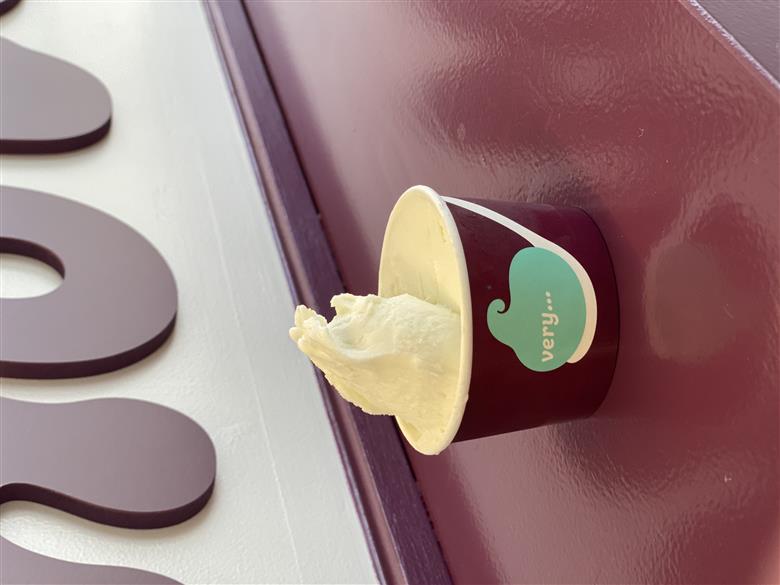 落葉樹色のジェラート 4L カムイミンタルの塩（ソルト）《厚真町》【株式会社クーバル】 ジェラート アイス  ソルト 塩 米粉  スイーツ 大容量 業務用 北海道 [AXBQ006]